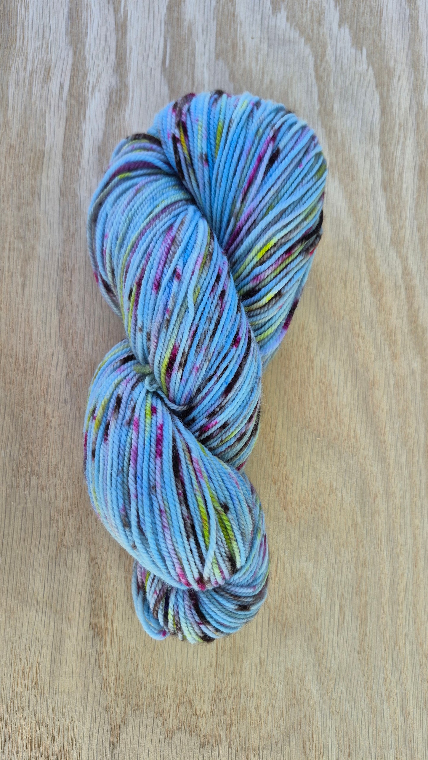 Linda's Garden- Hand Dyed DK Superwash Merino Wool Yarn