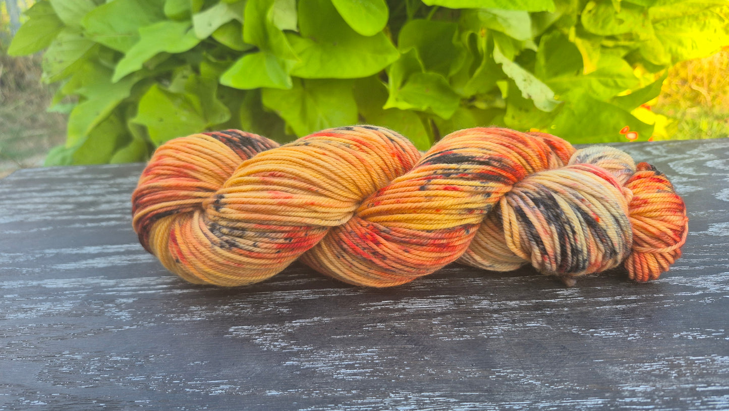 Pumpkin Patch - Hand Dyed DK 100% Fine Superwash Merino Wool Yarn