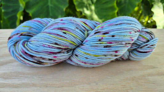 Linda's Garden- Hand Dyed DK Superwash Merino Wool Yarn