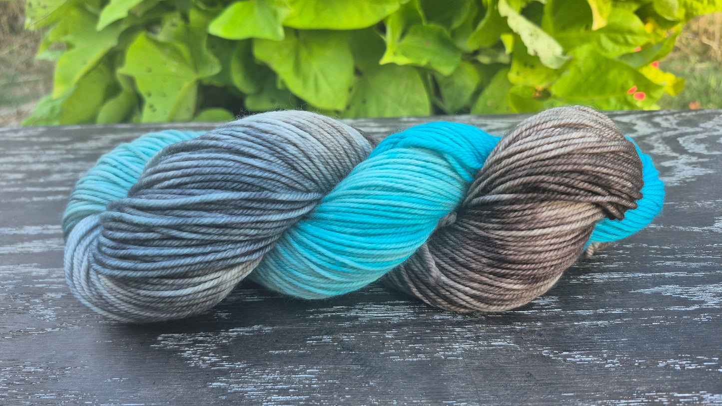 Southwestern - Hand Dyed DK 100% Fine Superwash Merino Wool Yarn