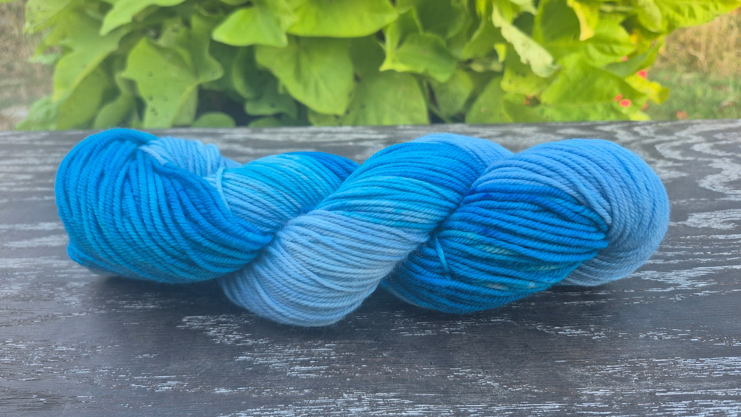 Renee's Waterfall - Hand Dyed DK 100% Fine Superwash Merino Wool Yarn